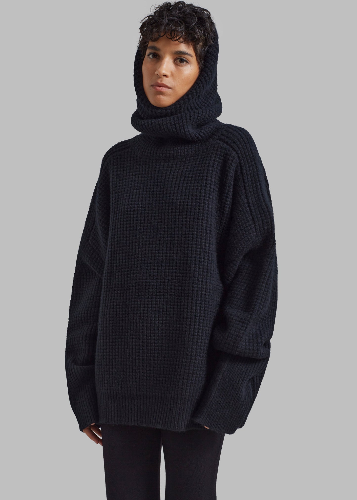 Bex Wool Hooded Turtleneck - Black