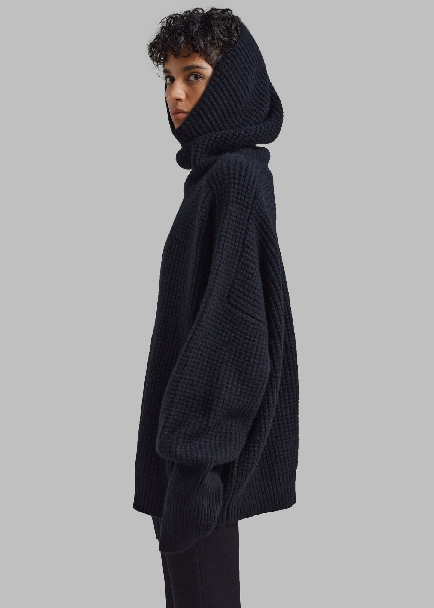 Bex Wool Hooded Turtleneck - Black