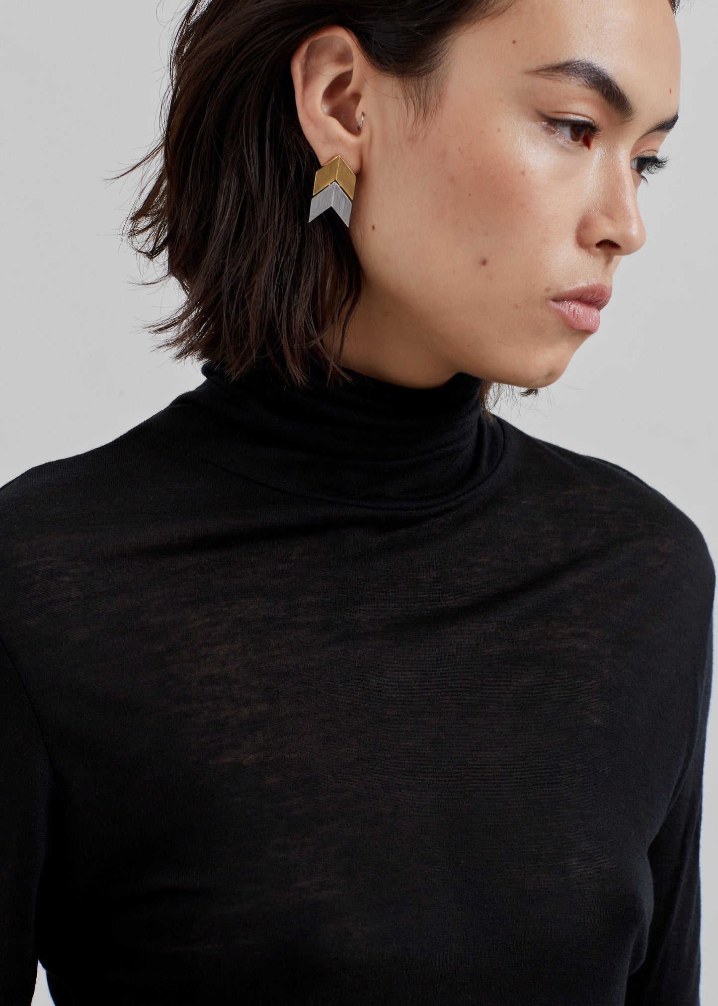 Evren Sheer Turtleneck - Black