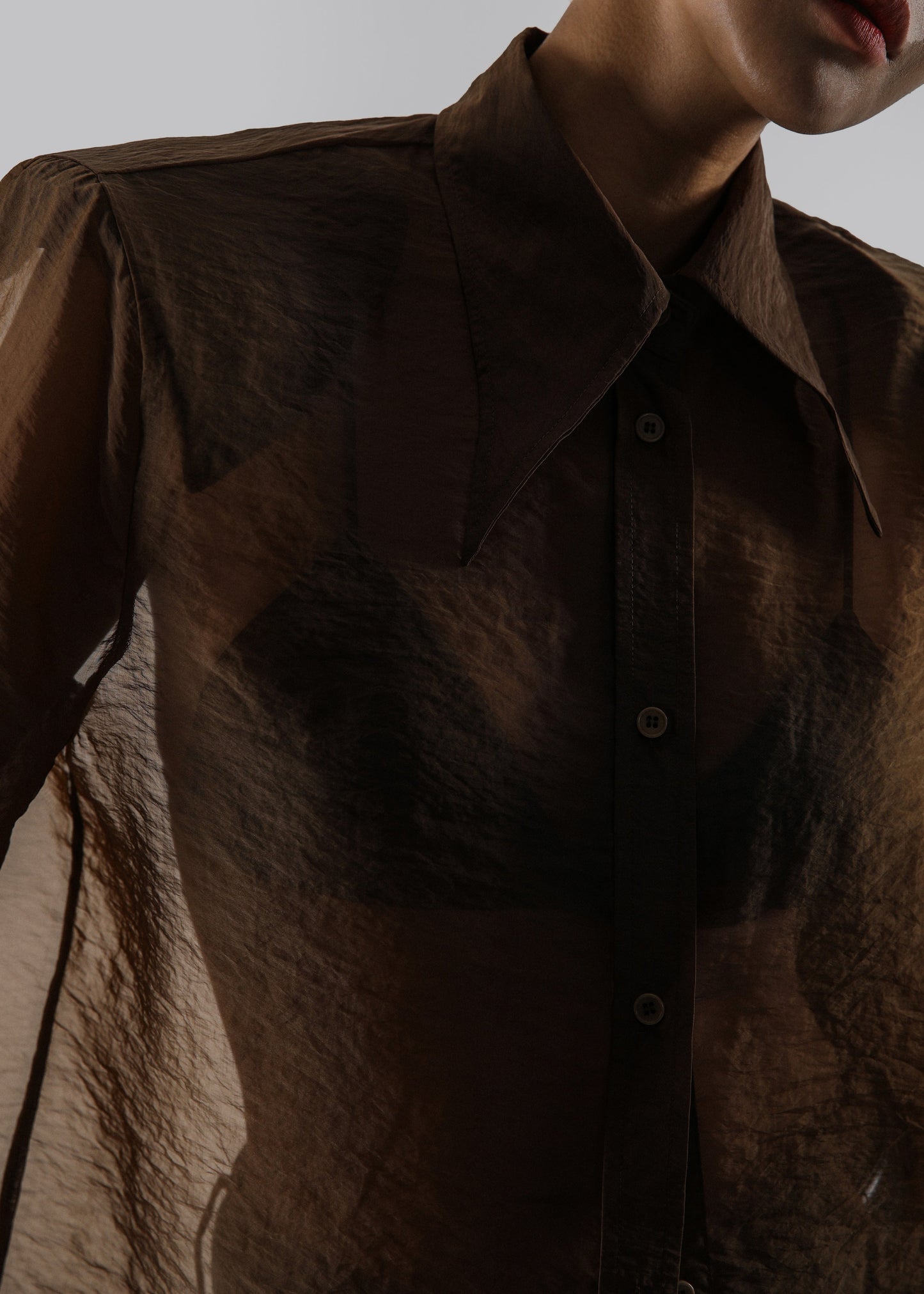 Jolene Semi Sheer Shirt - Brown