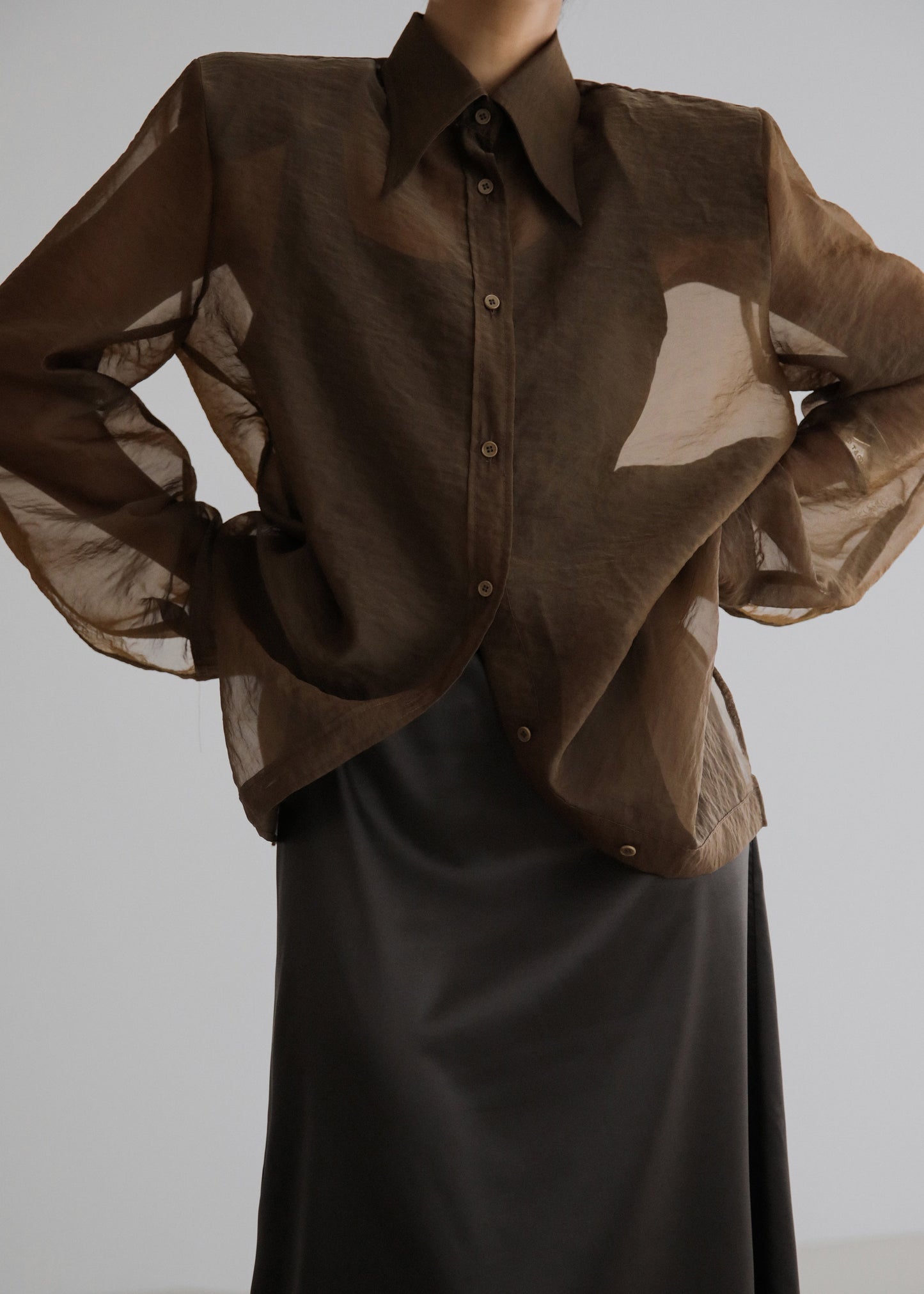 Jolene Semi Sheer Shirt - Brown