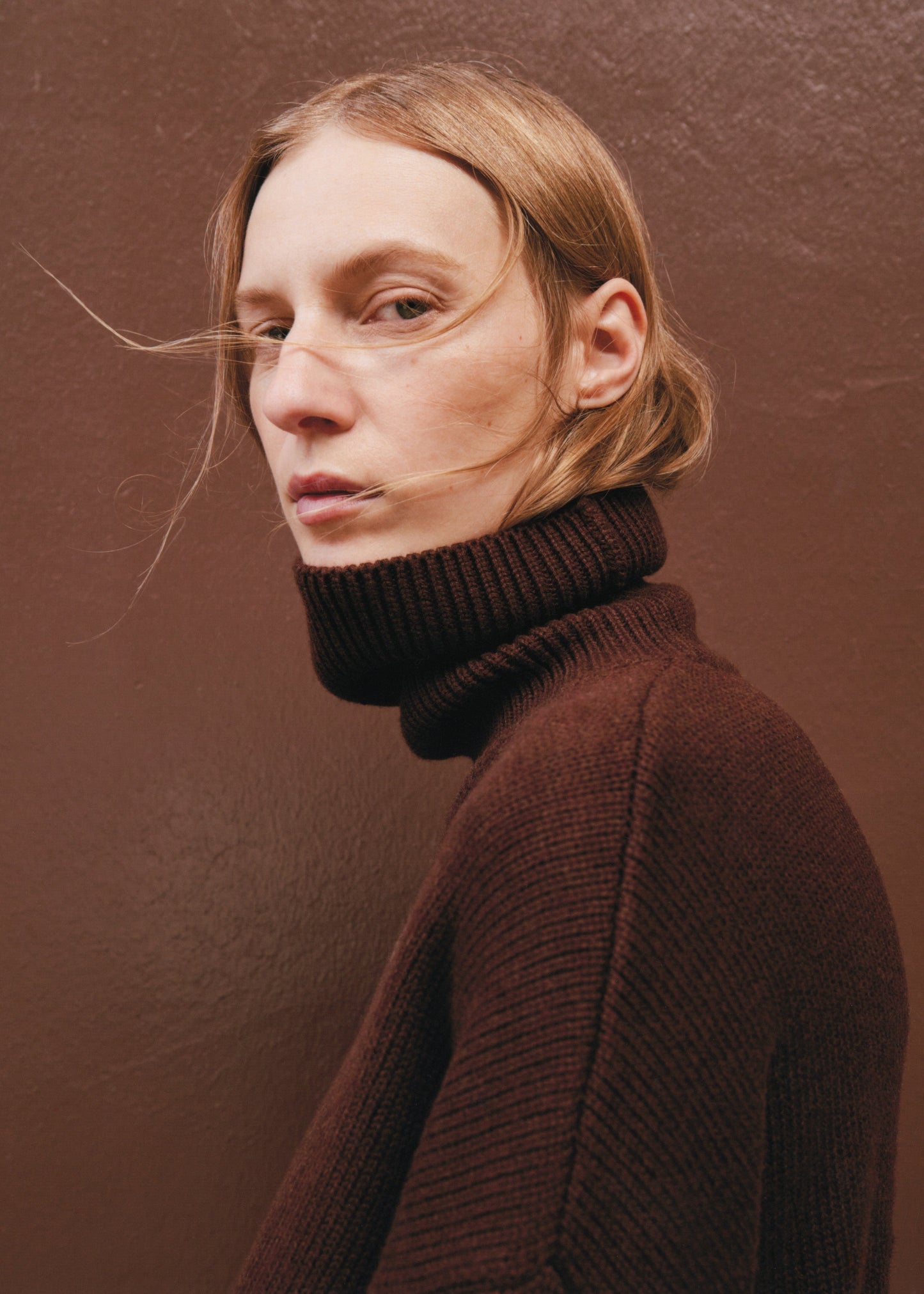 Rhea Trapeze Turtleneck - Brown